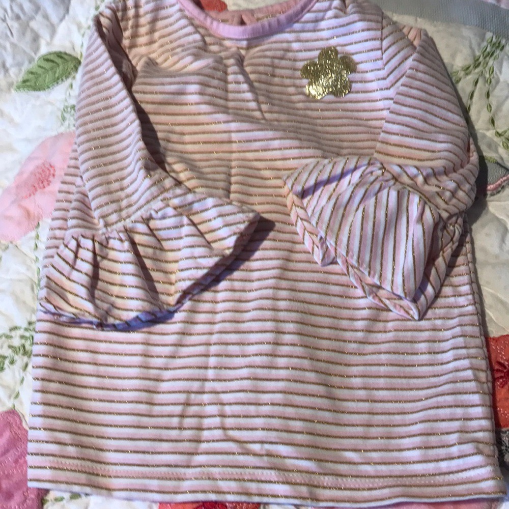 Garanimals set 4T pink / gold striped